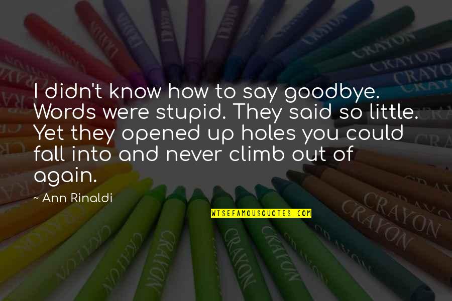 Rinaldi Quotes By Ann Rinaldi: I didn't know how to say goodbye. Words