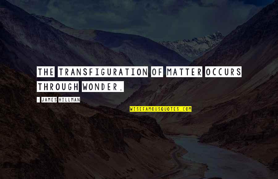 Rinaman Road Quotes By James Hillman: The transfiguration of matter occurs through wonder.