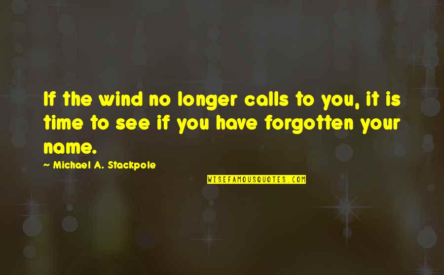 Riposted Quotes By Michael A. Stackpole: If the wind no longer calls to you,