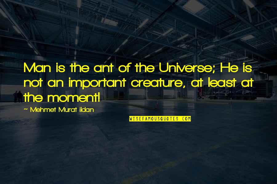 Rise And Shine Instagram Quotes By Mehmet Murat Ildan: Man is the ant of the Universe; He