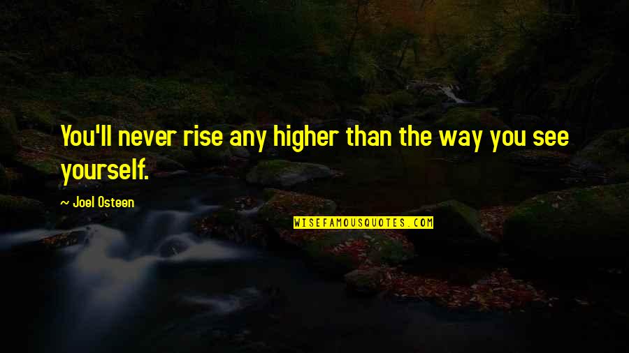 Rise Higher Quotes By Joel Osteen: You'll never rise any higher than the way