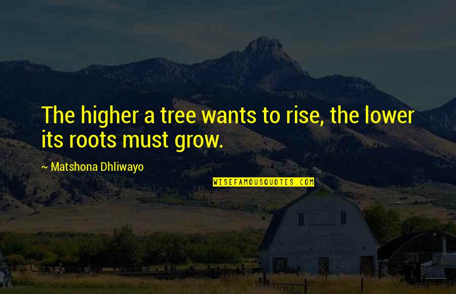 Rise Higher Quotes By Matshona Dhliwayo: The higher a tree wants to rise, the