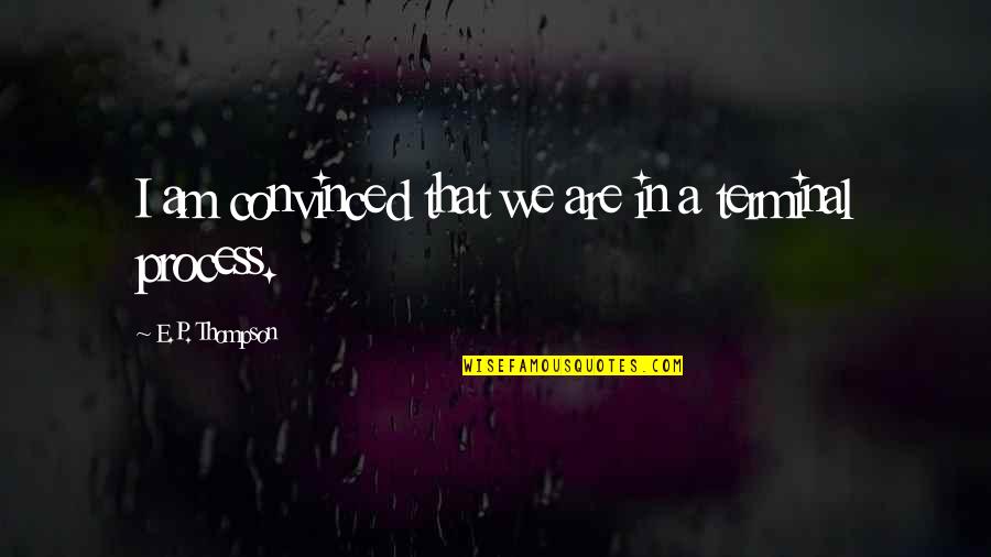 Risky Relationships Quotes By E.P. Thompson: I am convinced that we are in a