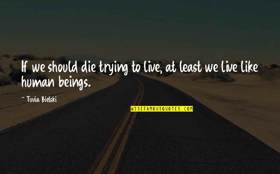 Rispecchiare Quotes By Tuvia Bielski: If we should die trying to live, at