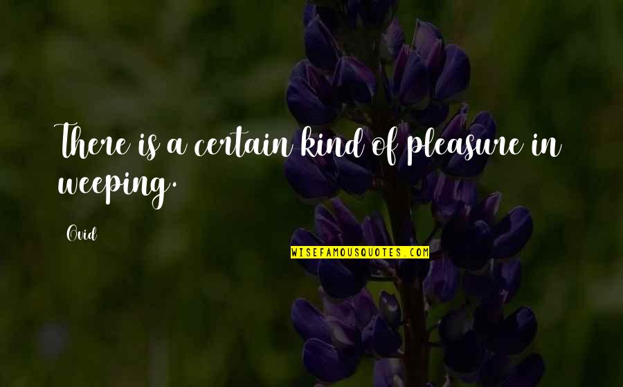 Ritmo Latino Quotes By Ovid: There is a certain kind of pleasure in