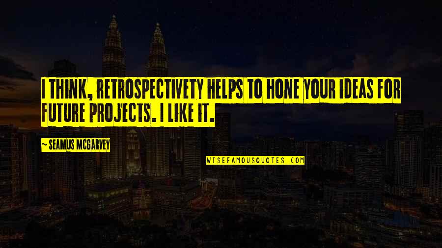 Robin Harris Quotes By Seamus McGarvey: I think, retrospectivety helps to hone your ideas