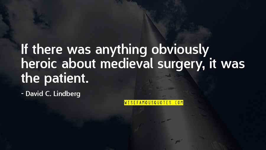 Rocabox Quotes By David C. Lindberg: If there was anything obviously heroic about medieval