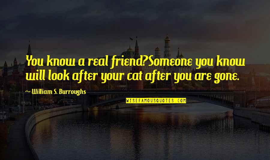 Rochia Alb Quotes By William S. Burroughs: You know a real friend?Someone you know will