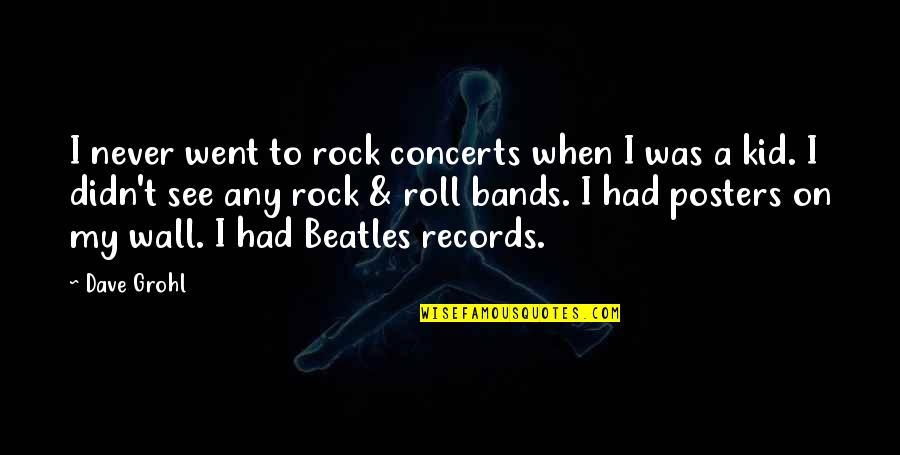 Rock Concerts Quotes By Dave Grohl: I never went to rock concerts when I