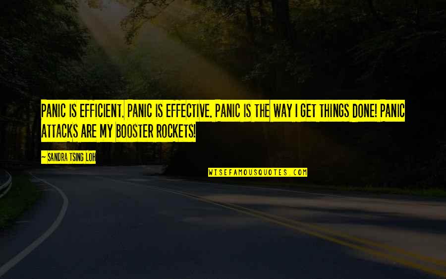 Rockets Quotes By Sandra Tsing Loh: Panic is efficient. Panic is effective. Panic is