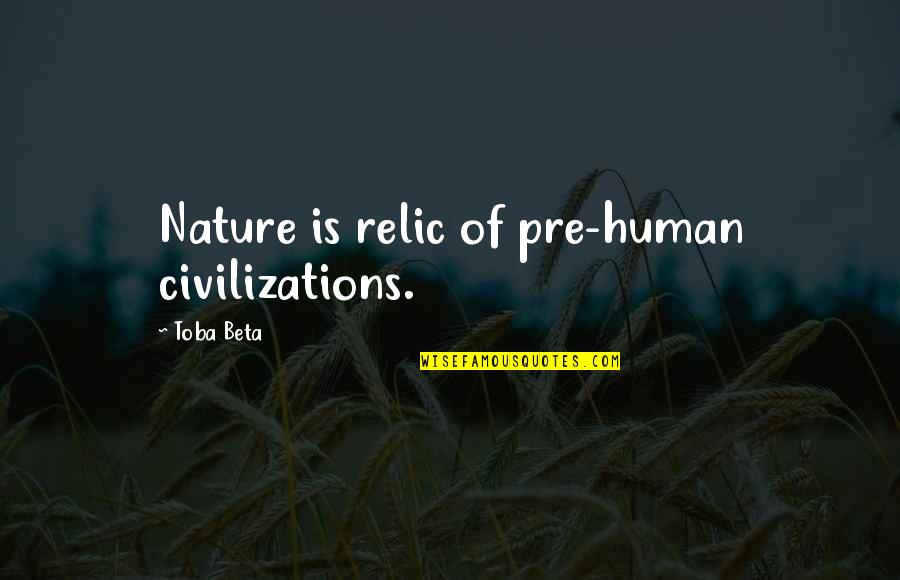 Rod Curl Quotes By Toba Beta: Nature is relic of pre-human civilizations.