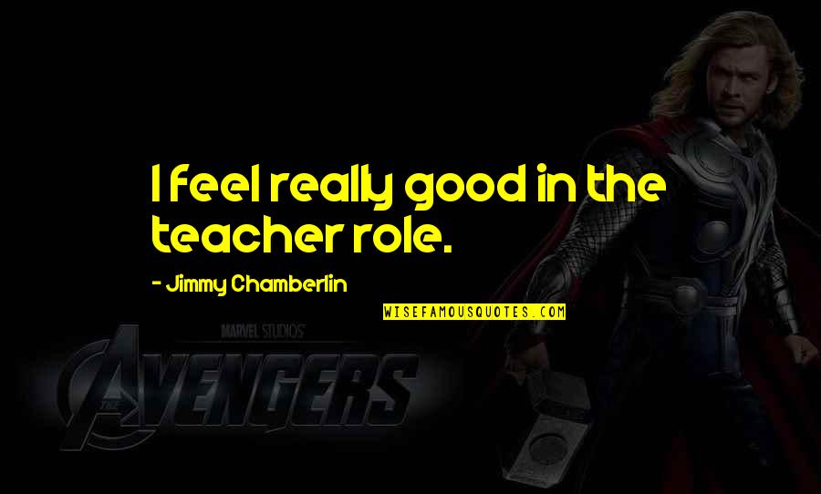 Role Of A Teacher Quotes By Jimmy Chamberlin: I feel really good in the teacher role.