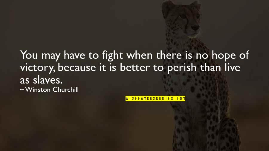 Rollworks Logo Quotes By Winston Churchill: You may have to fight when there is