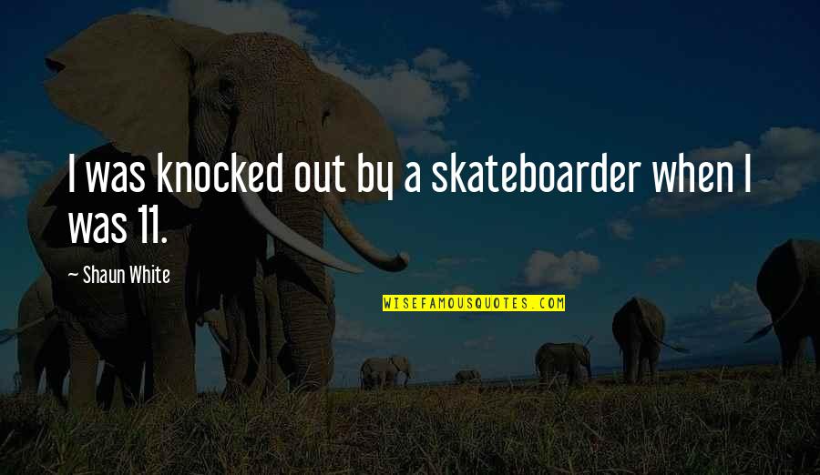 Romanth Quotes By Shaun White: I was knocked out by a skateboarder when