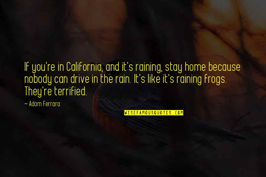 Romeo Og Julie Quotes By Adam Ferrara: If you're in California, and it's raining, stay