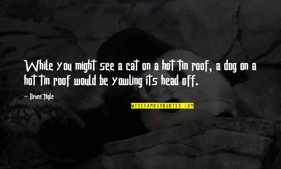 Roof Over Your Head Quotes By Bruce Fogle: While you might see a cat on a