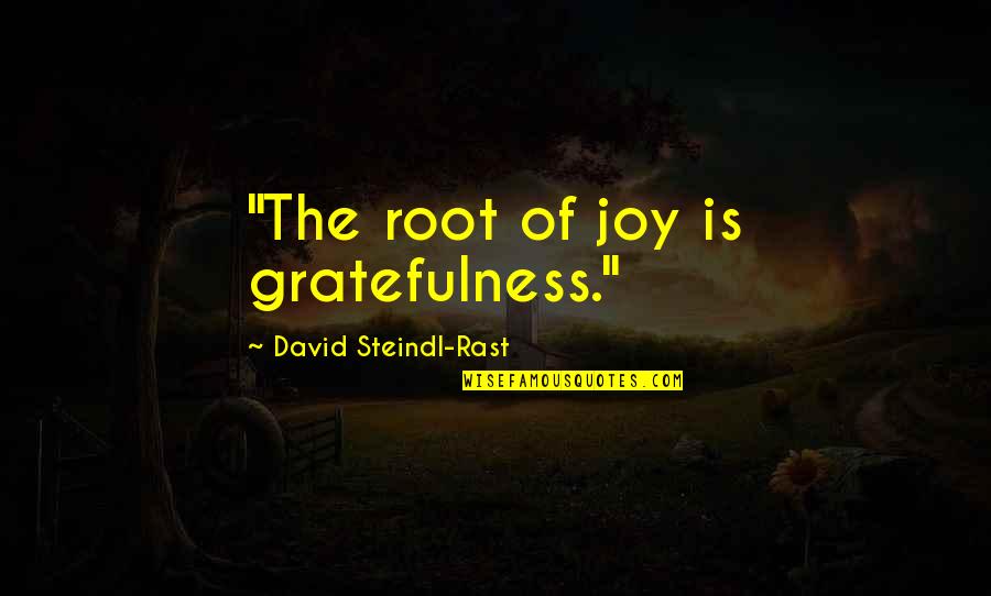 Roots Of Gratitude Quotes By David Steindl-Rast: "The root of joy is gratefulness."