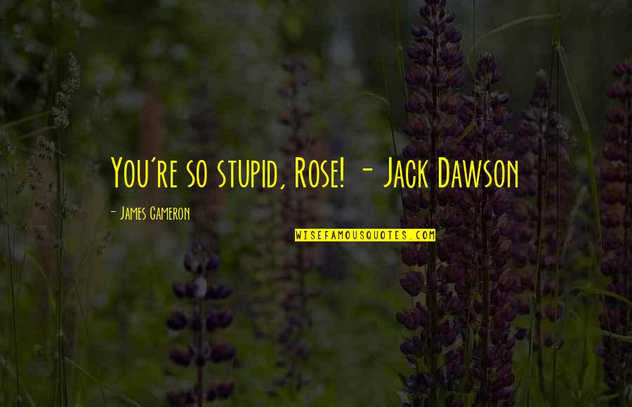 Rose Dawson Quotes By James Cameron: You're so stupid, Rose! - Jack Dawson