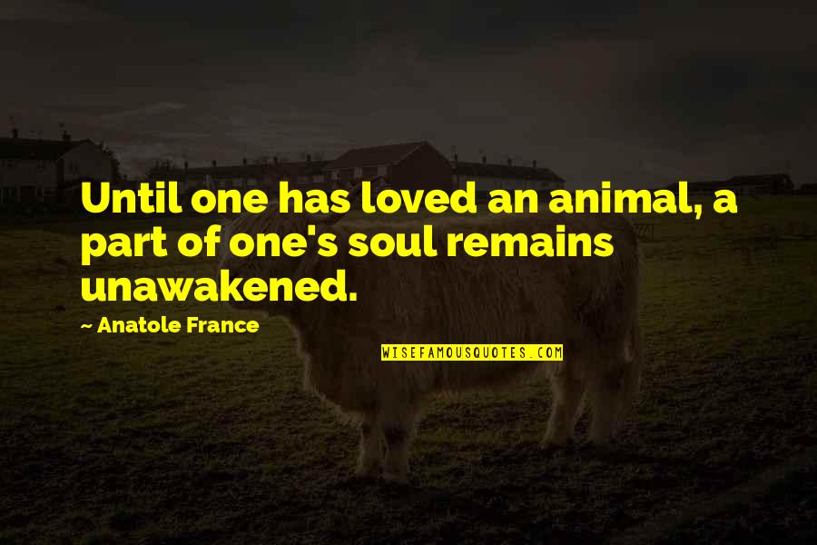 Rosr Quotes By Anatole France: Until one has loved an animal, a part
