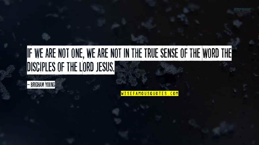 Rotonde Maison Quotes By Brigham Young: If we are not one, we are not