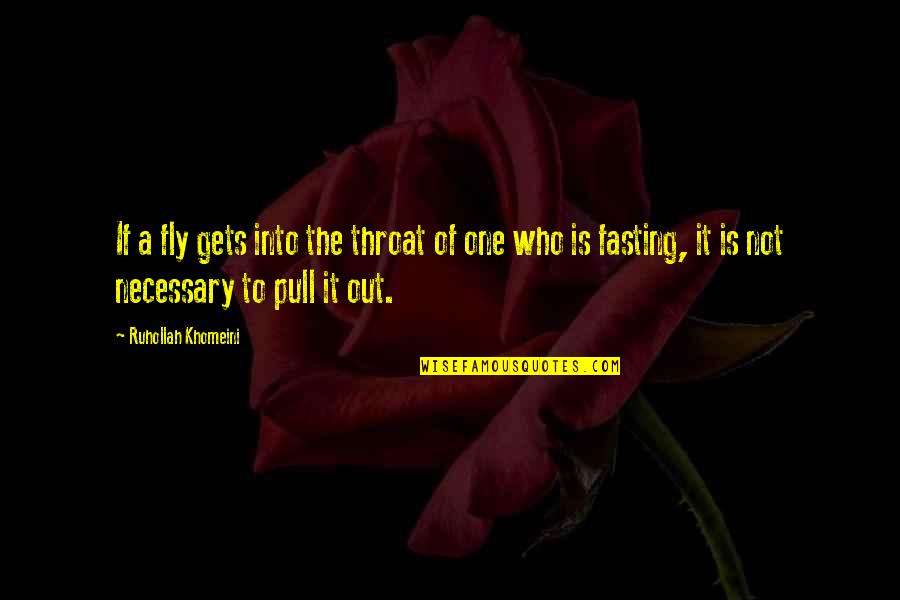 Ruhollah Khomeini Quotes By Ruhollah Khomeini: If a fly gets into the throat of