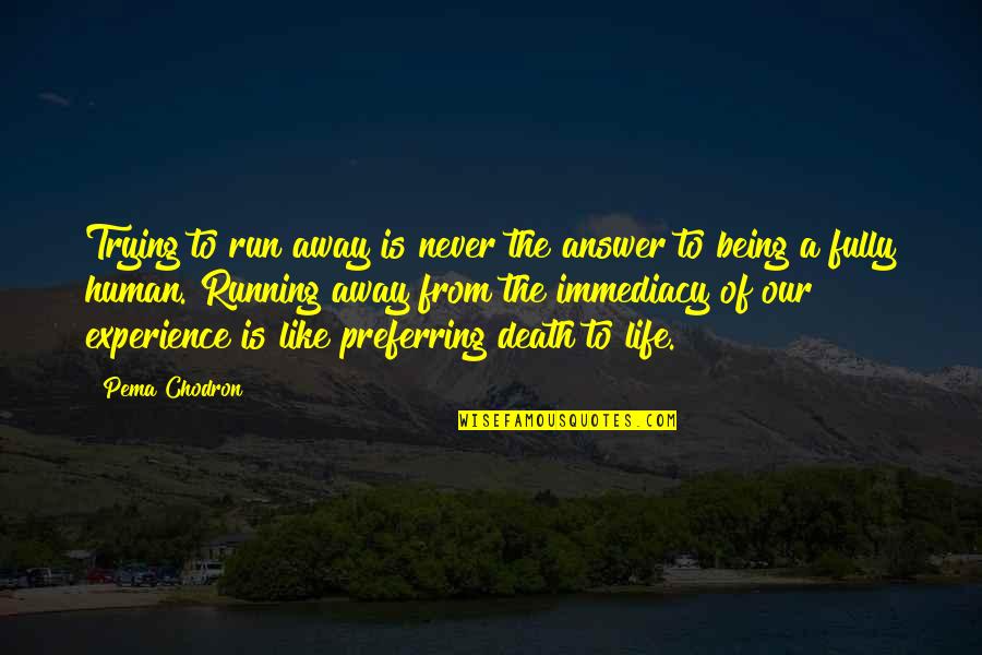 Run Away From Life Quotes By Pema Chodron: Trying to run away is never the answer