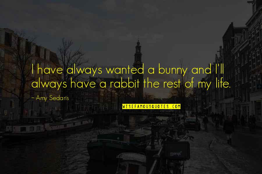 Ruzbeh Bharucha Quotes By Amy Sedaris: I have always wanted a bunny and I'll