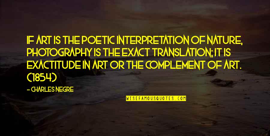 Rygel Doll Quotes By Charles Negre: If art is the poetic interpretation of nature,