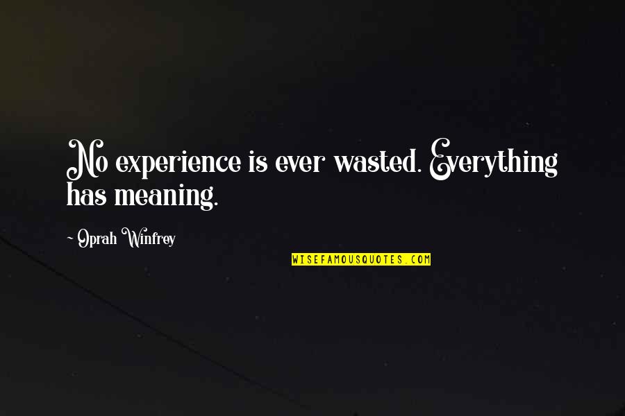 Ryuuji Korekuni Quotes By Oprah Winfrey: No experience is ever wasted. Everything has meaning.