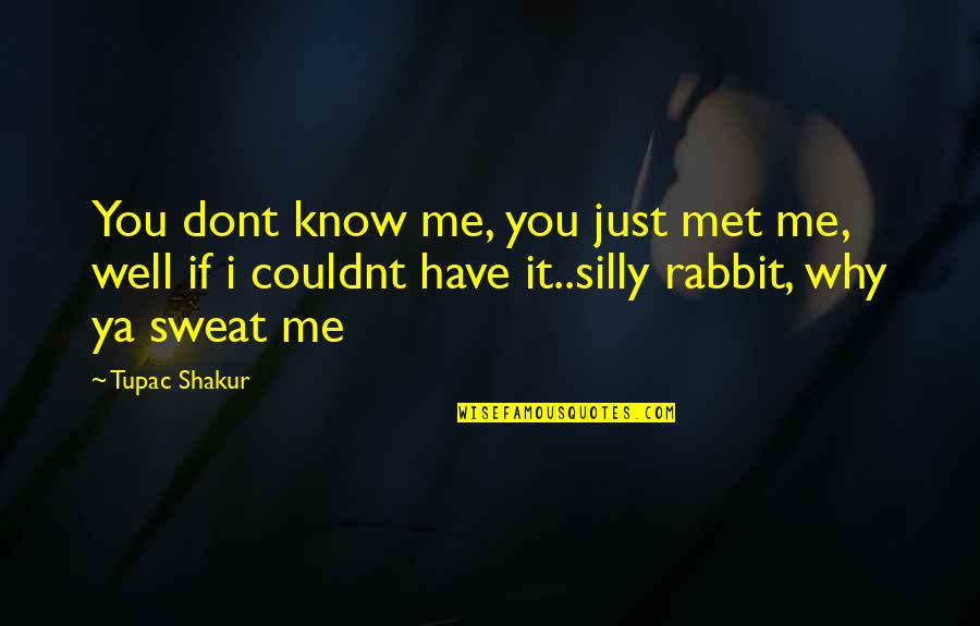 S Zlerim Sevenlere Cengiz Kurtoglu Quotes By Tupac Shakur: You dont know me, you just met me,