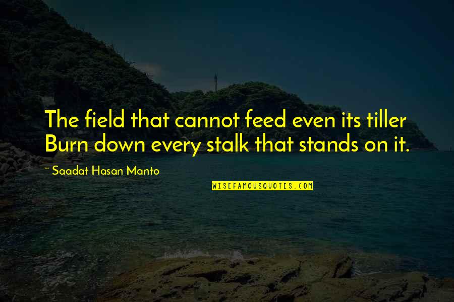 Saadat Manto Quotes By Saadat Hasan Manto: The field that cannot feed even its tiller