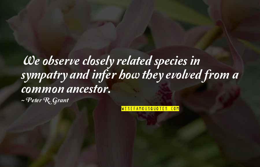 Sabrina Netflix Quotes By Peter R. Grant: We observe closely related species in sympatry and