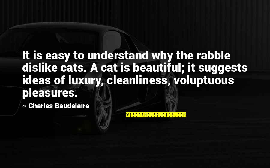 Sabritos Quotes By Charles Baudelaire: It is easy to understand why the rabble