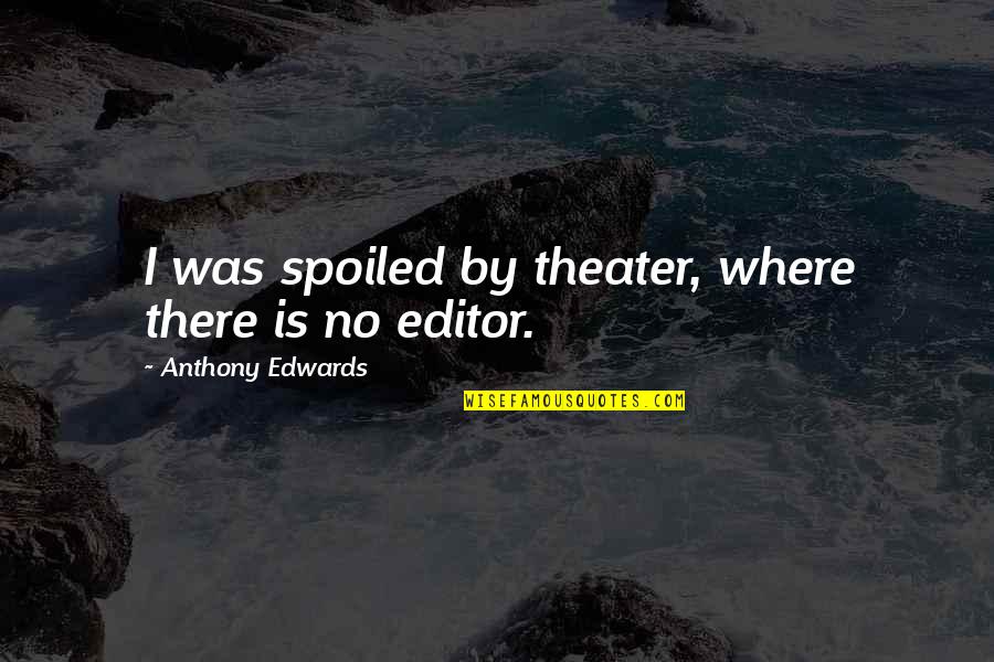 Saccomanno Technique Quotes By Anthony Edwards: I was spoiled by theater, where there is