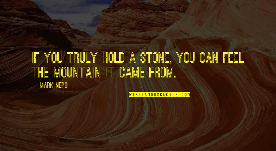 Sacrilegious In A Sentence Quotes By Mark Nepo: If you truly hold a stone, you can