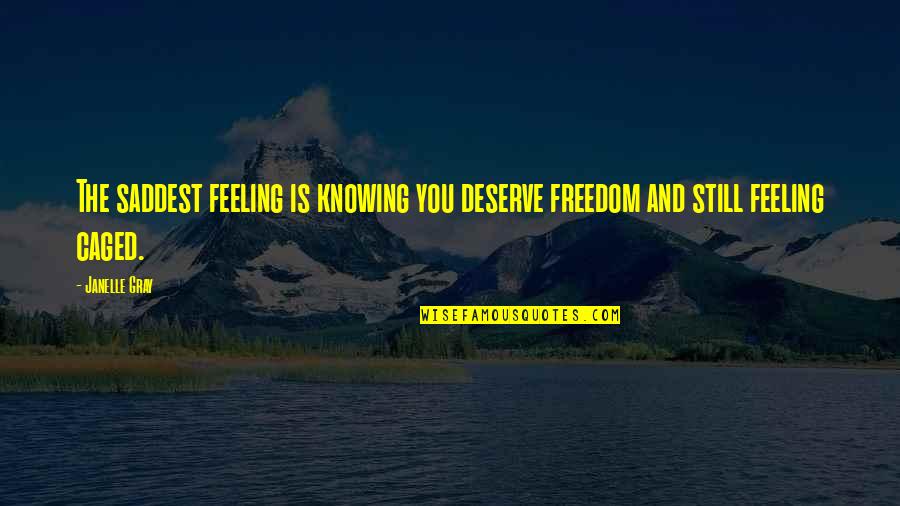 Saddest Ever Quotes By Janelle Gray: The saddest feeling is knowing you deserve freedom