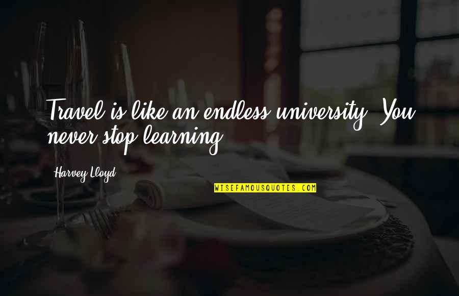 Sadegh Vahedi Quotes By Harvey Lloyd: Travel is like an endless university. You never