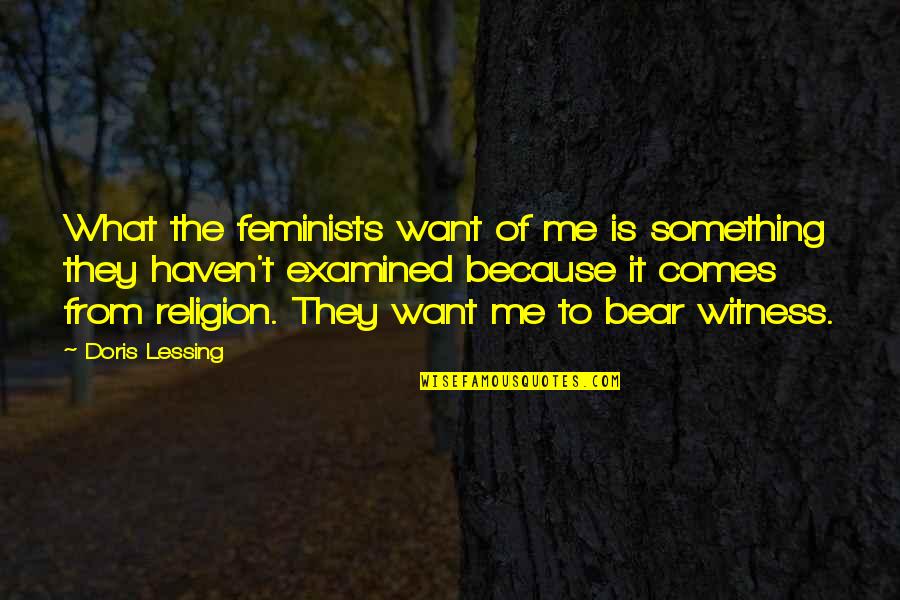 Sadeghpour Ramin Quotes By Doris Lessing: What the feminists want of me is something