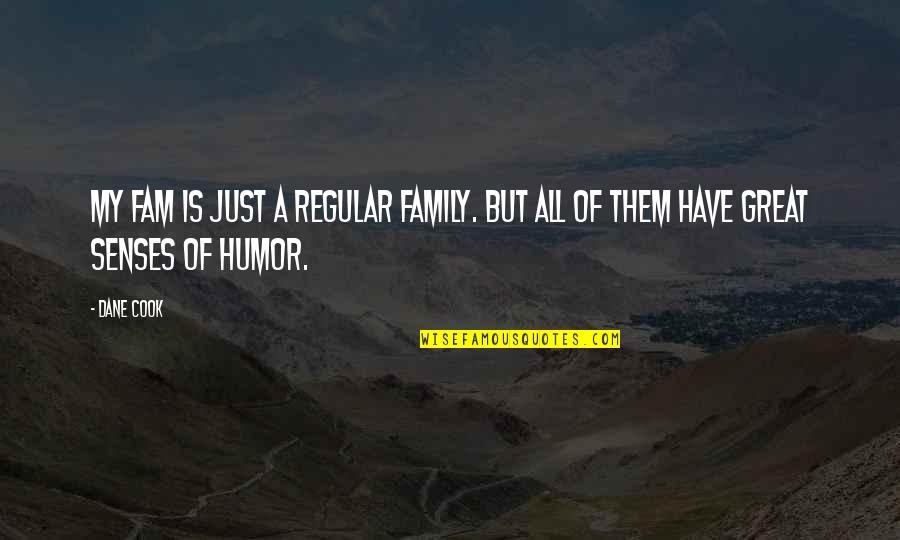 Sadeh In Hebrew Quotes By Dane Cook: My fam is just a regular family. But