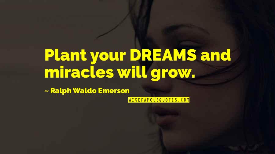 Sadiri Video Quotes By Ralph Waldo Emerson: Plant your DREAMS and miracles will grow.