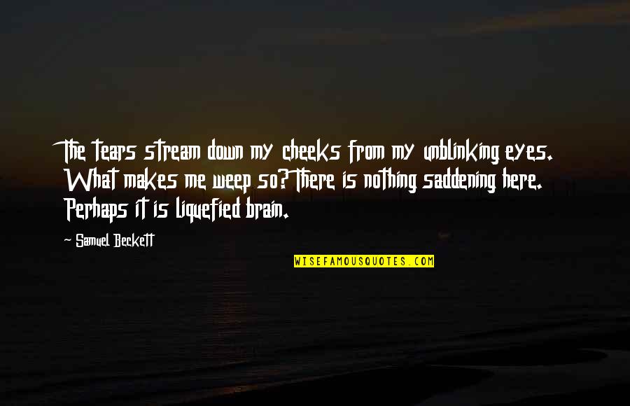 Sadness In Eyes Quotes By Samuel Beckett: The tears stream down my cheeks from my