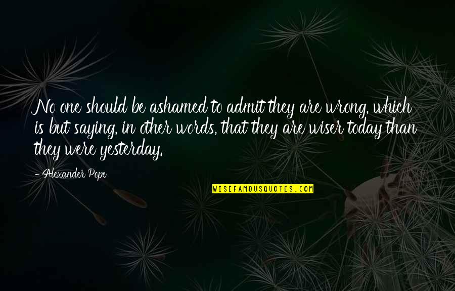 Safiye Baskaya Quotes By Alexander Pope: No one should be ashamed to admit they