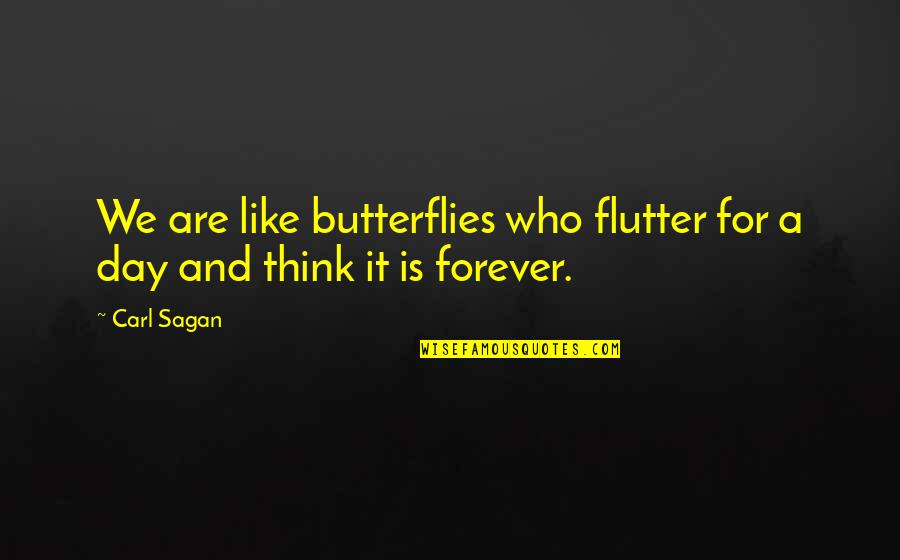 Sagan Carl Quotes By Carl Sagan: We are like butterflies who flutter for a