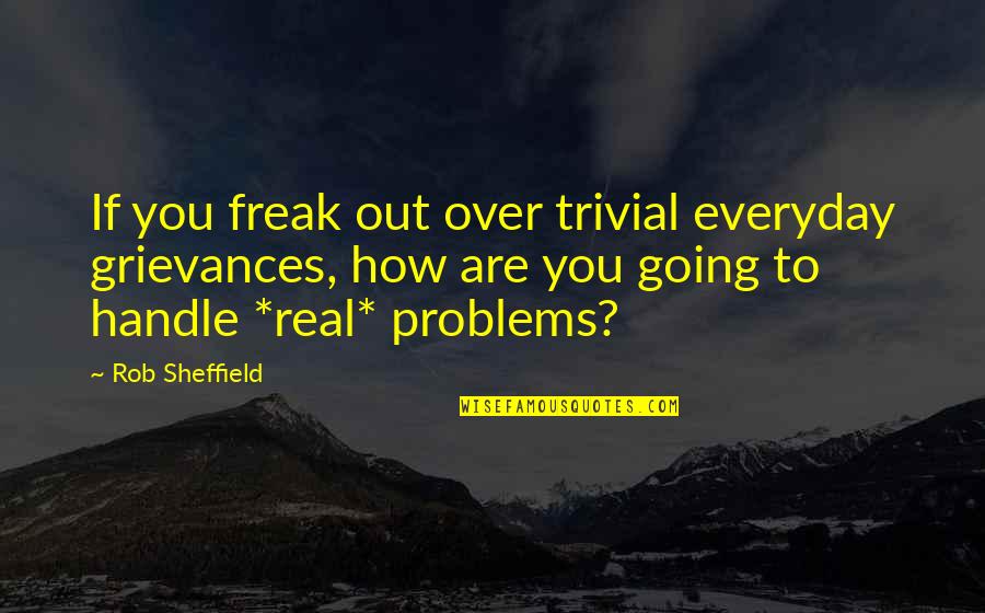 Saiyaman Quotes By Rob Sheffield: If you freak out over trivial everyday grievances,