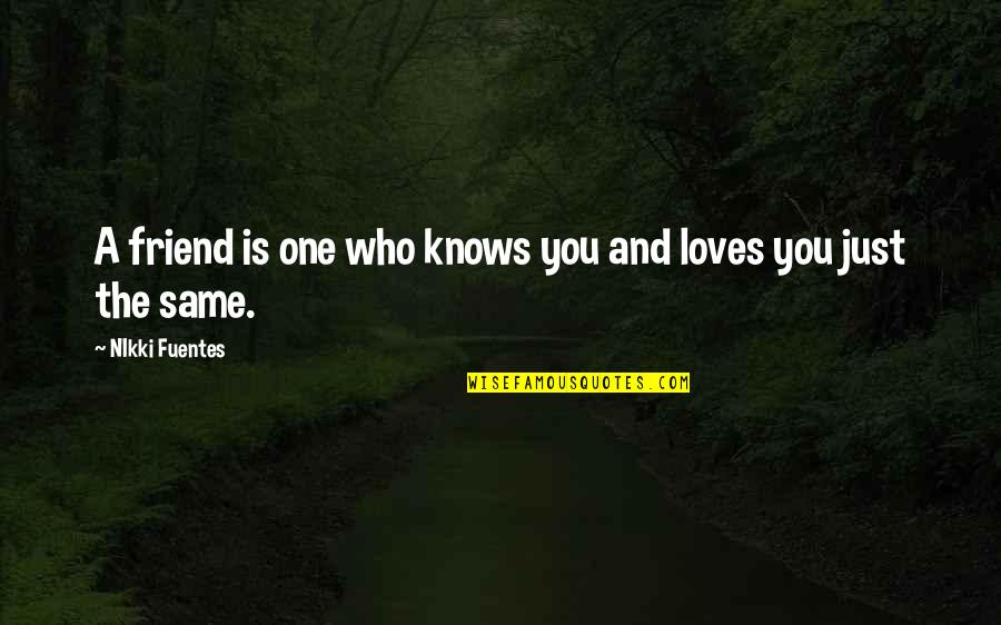 Salierno And Dillard Quotes By NIkki Fuentes: A friend is one who knows you and