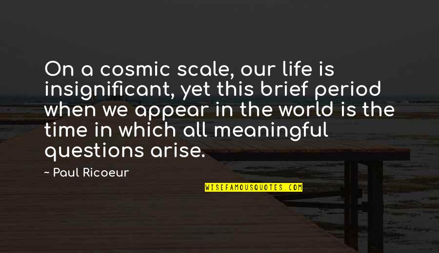 Sally Morgan Quotes By Paul Ricoeur: On a cosmic scale, our life is insignificant,