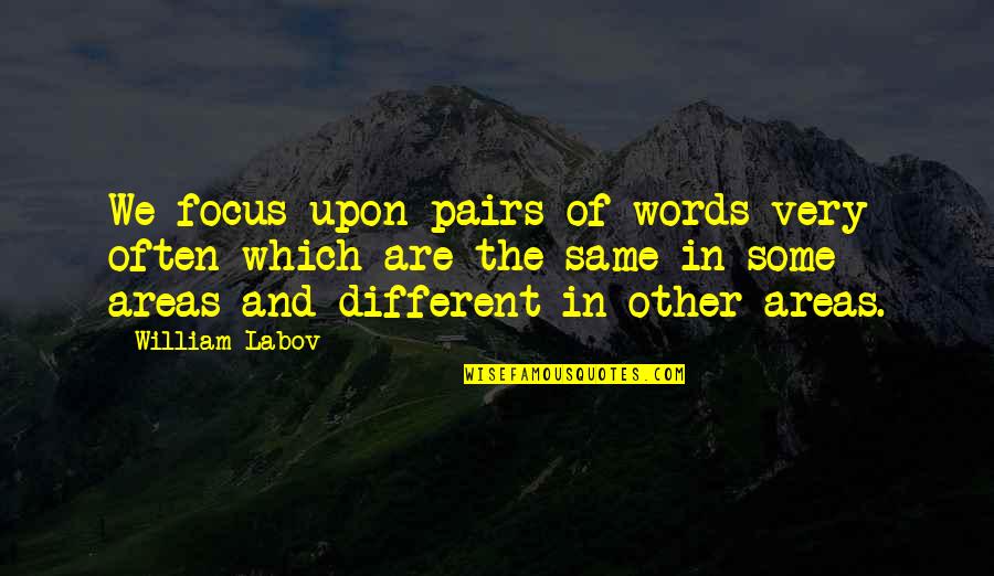 Same Focus Quotes By William Labov: We focus upon pairs of words very often