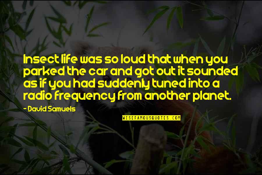 Samsung Phones Quotes By David Samuels: Insect life was so loud that when you