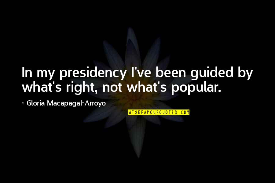 Sanayi Inkilabi Quotes By Gloria Macapagal-Arroyo: In my presidency I've been guided by what's