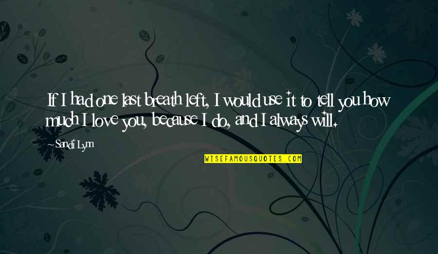 Sandi Quotes By Sandi Lynn: If I had one last breath left, I